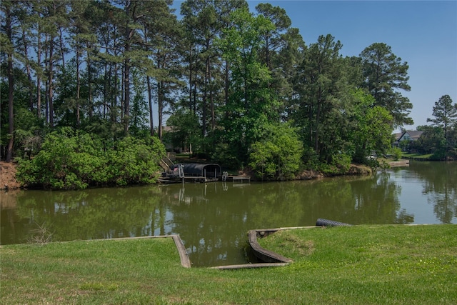 12786 Aries Loop, Willis, TX 77318 - photo 45