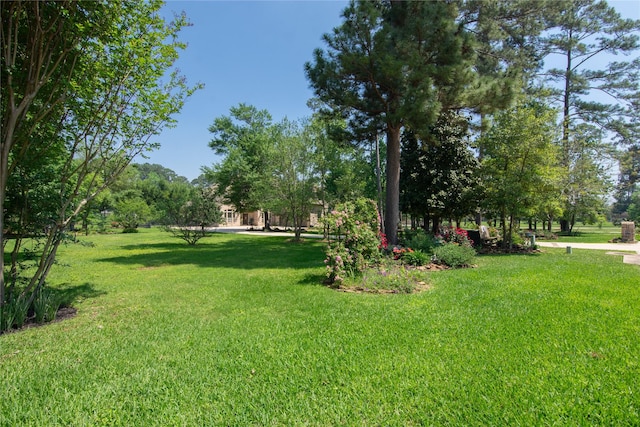 12786 Aries Loop, Willis, TX 77318 - photo 48