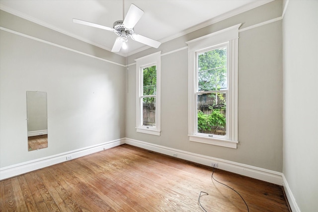 519 Bayland Ave, Houston, TX 77009 - empty room with wood finished floors, crown molding, and a ceiling fan