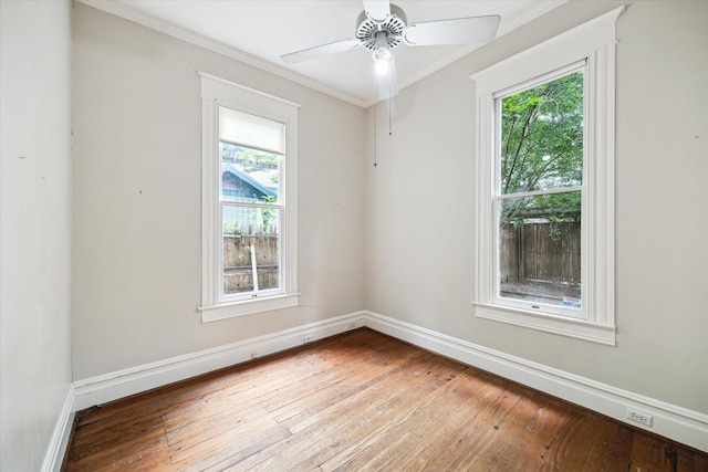 519 Bayland Ave, Houston, TX 77009 - unfurnished room with plenty of natural light, hardwood / wood-style flooring, crown molding, and a ceiling fan