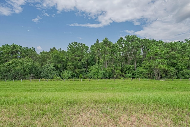 903 Pinecreek Point Ct, Spring, TX 77373 - photo 42
