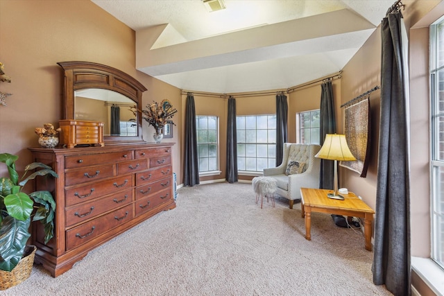 7938 S Wellington Ct, Houston, TX 77055 - living area with carpet and lofted ceiling