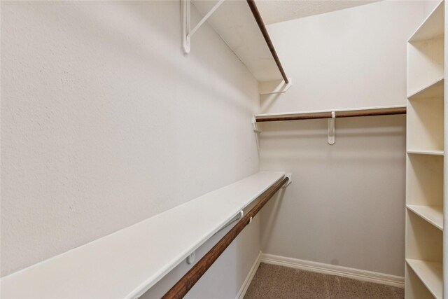 3418 Nottingham Ln, Montgomery, TX 77356 - walk in closet featuring carpet flooring