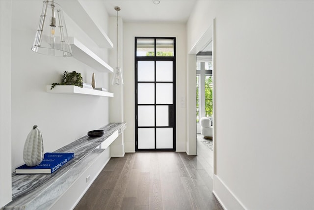 1220 Bomar St, Houston, TX 77006 - entryway featuring dark wood-type flooring and plenty of natural light