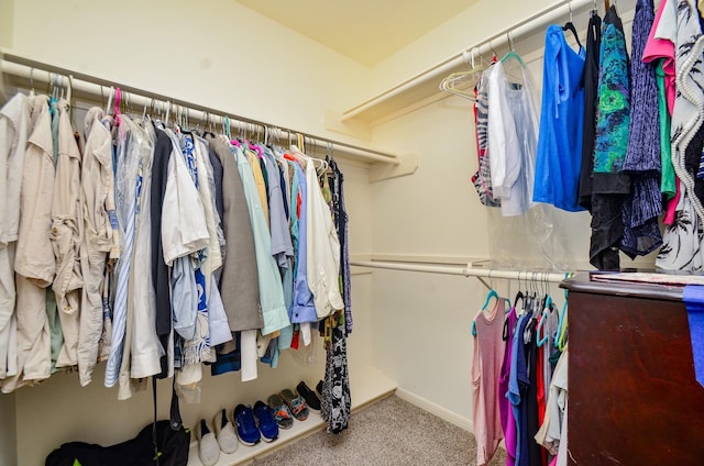 4415 Crimson Ct, Sugar Land, TX 77479 - spacious closet with carpet