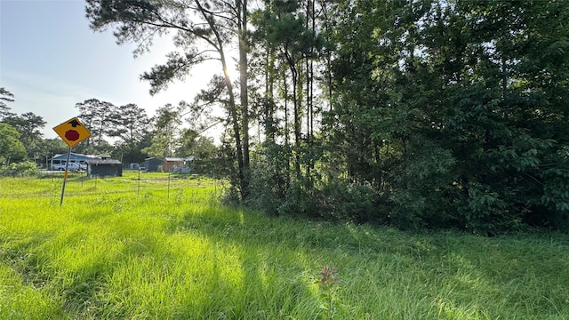 180 County Road 645, Kenefick, TX 77535 - photo 11