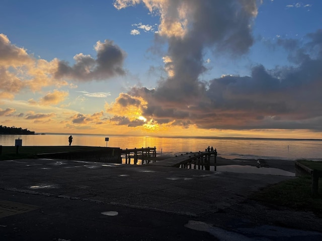 230 W Lake Dr, Livingston, TX 77351 - water view with a boat dock