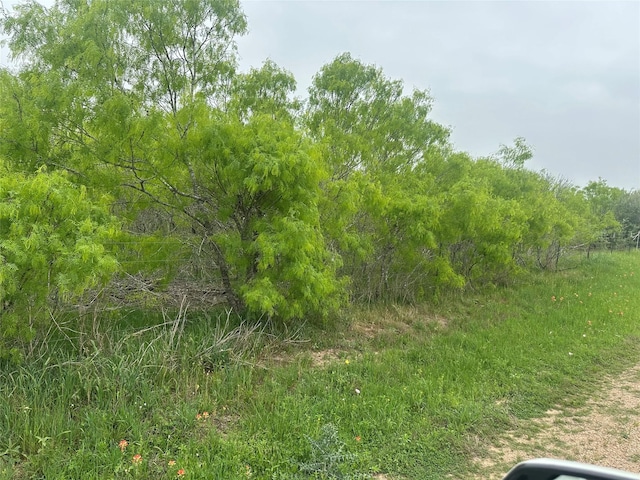 1561 County Road 428, Dime Box, TX 77853