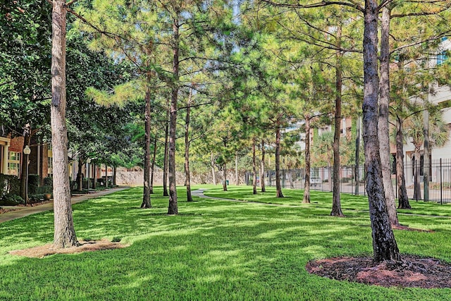 974 Memorial Village Dr Unit 53, Houston, TX 77024 - view of property's community