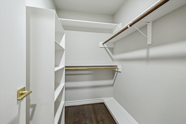974 Memorial Village Dr Unit 53, Houston, TX 77024 - spacious closet with dark wood-type flooring