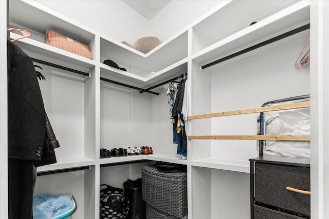 20012 Fm 523, Angleton, TX 77515 - view of walk in closet