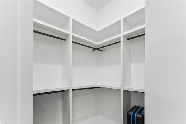 20012 Fm 523, Angleton, TX 77515 - view of spacious closet