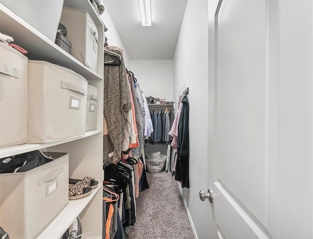 17023 Canosa Dr, Cypress, TX 77433 - spacious closet with carpet