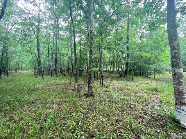 74 S Royale Greens Dr, Coldspring, TX 77331