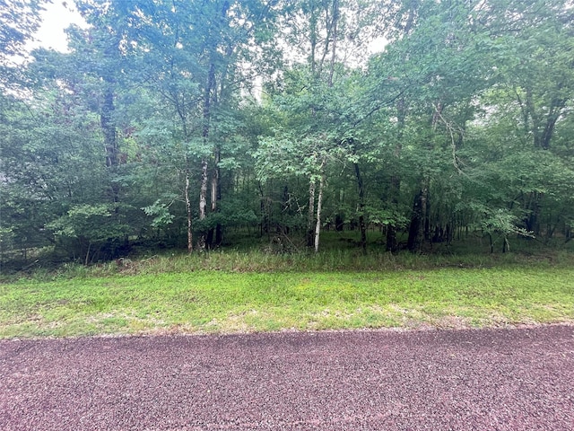 74 S Royale Greens Dr, Coldspring, TX 77331