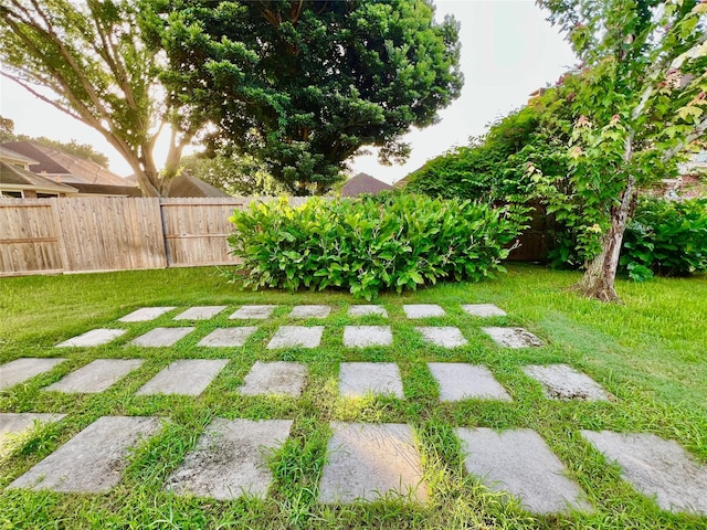 807 Epperson Way Ct, Sugar Land, TX 77479 - view of fenced backyard