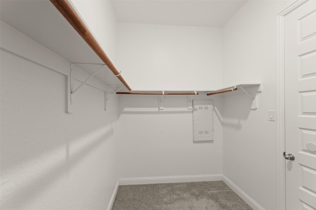 6322 Cambrai Wood Ln, Katy, TX 77493 - walk in closet featuring carpet