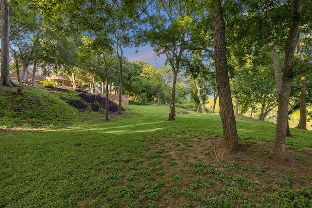 3023 River Forest Dr, Richmond, TX 77406 - photo 13