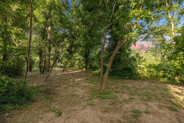 3023 River Forest Dr, Richmond, TX 77406 - photo 49