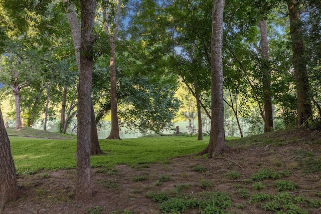 3023 River Forest Dr, Richmond, TX 77406 - photo 48