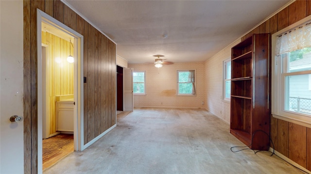 6619 Heron Dr, Houston, TX 77087 - unfurnished dining area with wooden walls, healthy amount of natural light, a ceiling fan, ornamental molding, and light carpet