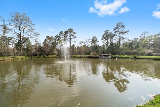 37763 Marias Way, Magnolia, TX 77354 - photo 6