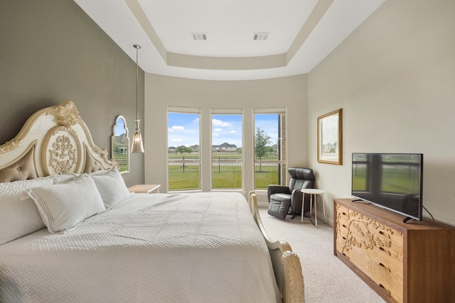 19019 Dappled Mare Cir, Tomball, TX 77377 - bedroom with light carpet and a tray ceiling
