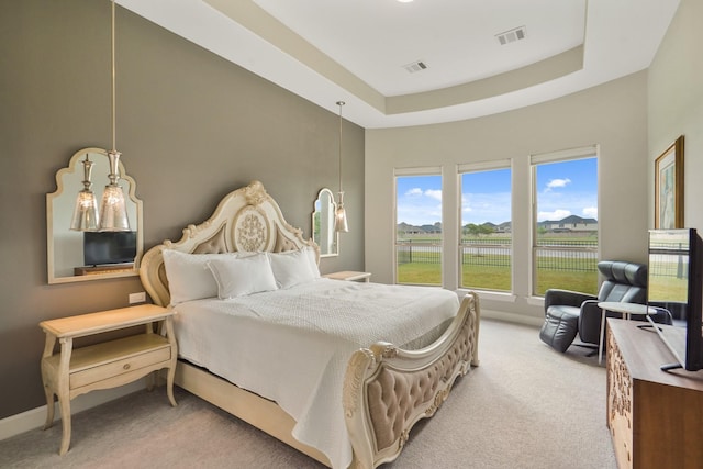 19019 Dappled Mare Cir, Tomball, TX 77377 - bedroom featuring light colored carpet and a raised ceiling