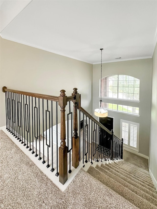 19226 Piney Way Dr, Tomball, TX 77375 - photo 22