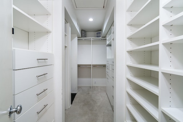 1395 Arlington St Unit 1395, Houston, TX 77008 - walk in closet with light carpet