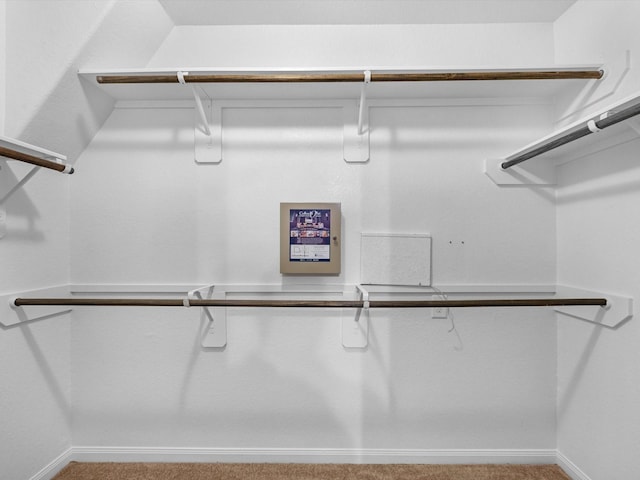 16020 Fountainview Dr Unit 21, Montgomery, TX 77356 - walk in closet with carpet floors