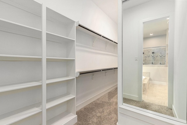 28622 Mountain Timber Ct, Fulshear, TX 77441 - walk in closet with carpet