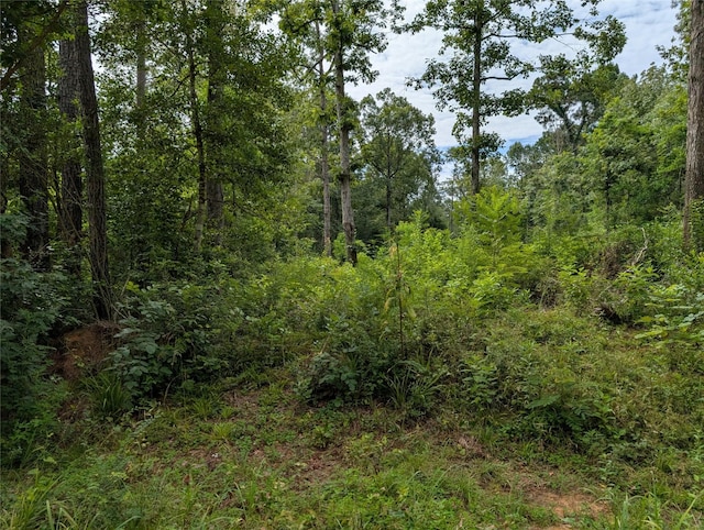 161 Ludies Dr, Livingston, TX 77351