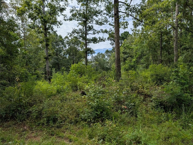 161 Ludies Dr, Livingston, TX 77351