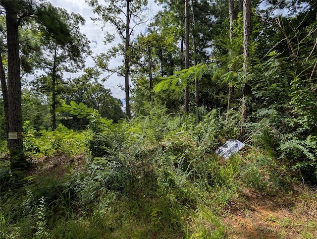 161 Ludies Dr, Livingston, TX 77351