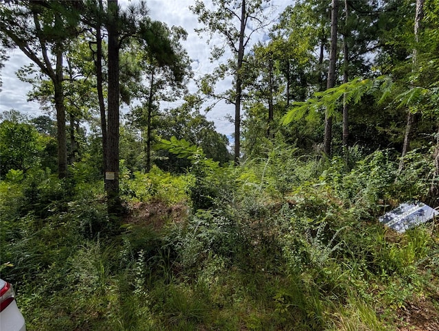 161 Ludies Dr, Livingston, TX 77351