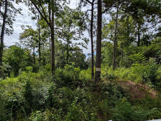 161 Ludies Dr, Livingston, TX 77351
