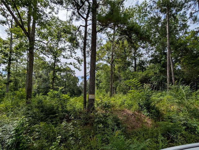 161 Ludies Dr, Livingston, TX 77351