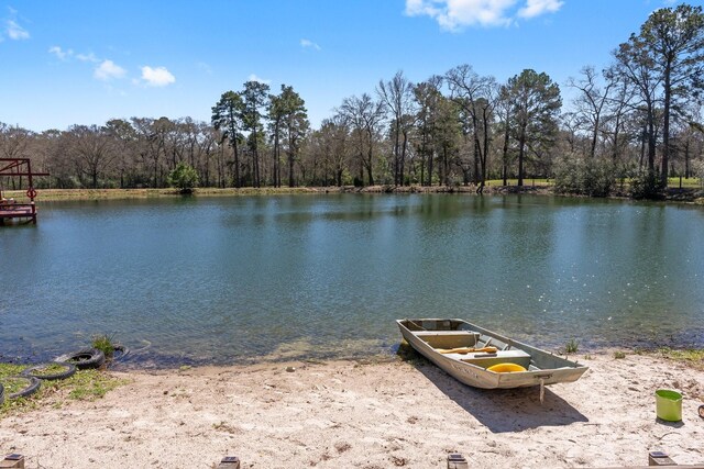 31026 Johlke Rd, Magnolia, TX 77355 - photo 45