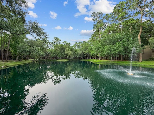 113 Litchfield Ln, Houston, TX 77024