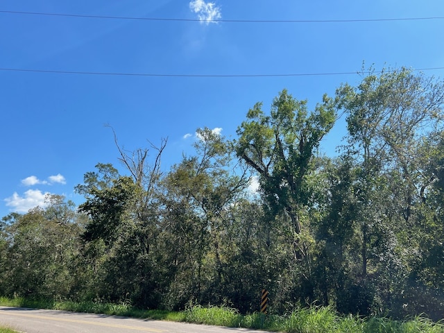 LOT1 County Road 819, Brazoria, TX 77422 - photo 4