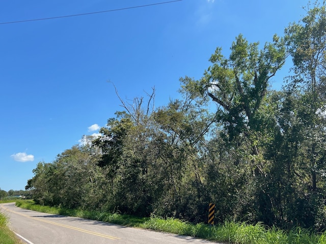 LOT1 County Road 819, Brazoria, TX 77422 - photo 5