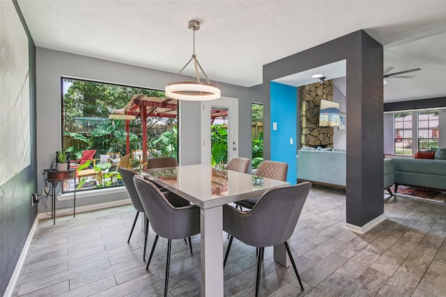 5210 Creek Shadows Dr, Houston, TX 77339 - dining space with plenty of natural light, wood finished floors, a textured ceiling, and a ceiling fan