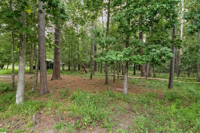 20801 Plaza Cir, Crosby, TX 77532 - photo 41