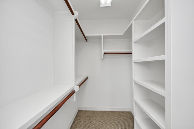 2930 Brompton Square Dr, Houston, TX 77025 - spacious closet with carpet floors