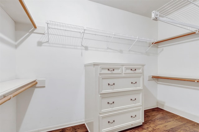 12102 Moorcreek Dr, Houston, TX 77070 - walk in closet with wood finished floors