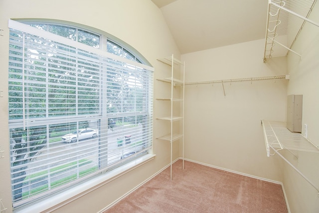 2814 Edgewick Elm St, Fresno, TX 77545 - spacious closet with light carpet and lofted ceiling
