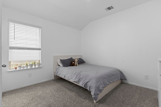 14205 Dream Rd, New Caney, TX 77357 - bedroom featuring multiple windows, lofted ceiling, and carpet floors