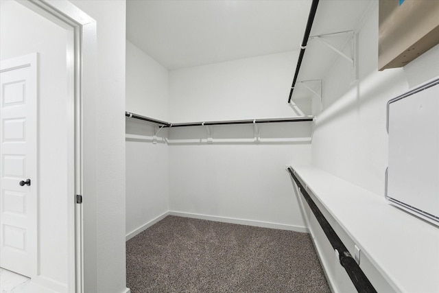 390 Kendall Crest Dr, Alvin, TX 77511 - walk in closet with carpet