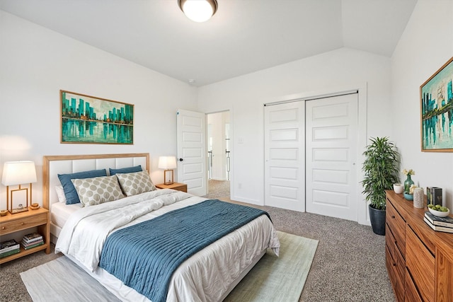 390 Kendall Crest Dr, Alvin, TX 77511 - bedroom with carpet flooring and a closet